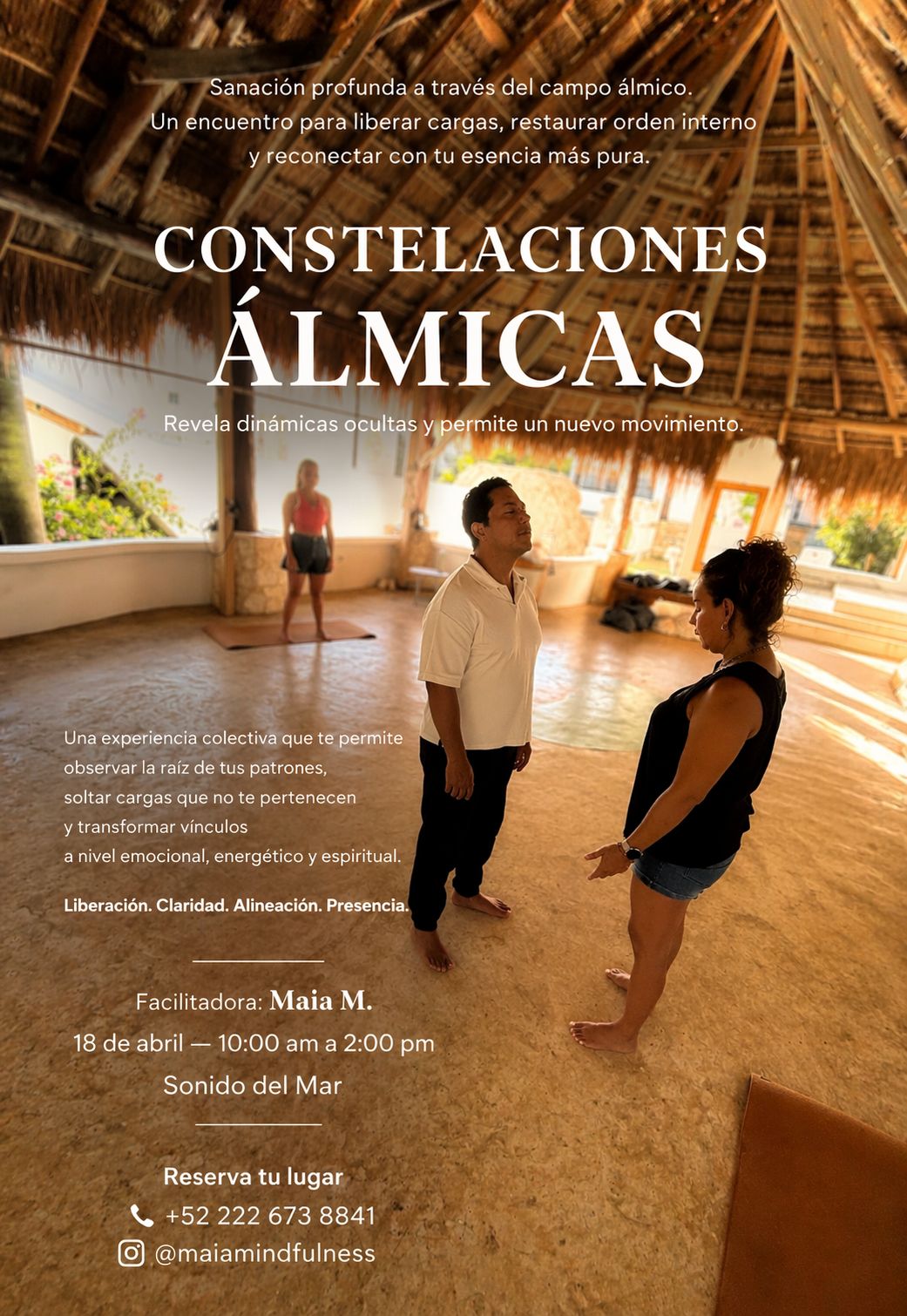 Constelaciones Álmicas